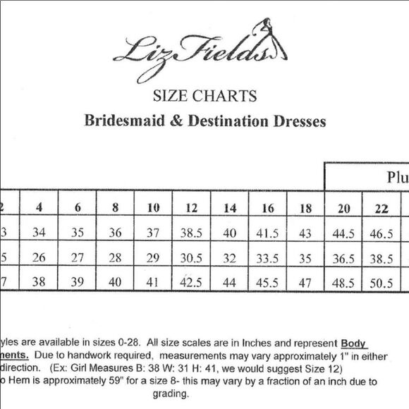 Liz Fields NWT Formal Dress S 14 - Picture 8 of 8